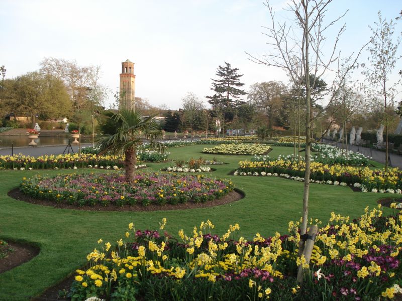 Viewing photos→2009→2009-04-09→52