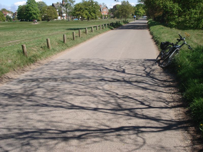 Viewing photos→2009→2009-04-26→01