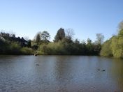 03.jpg - 2009:04:26 16:03:28