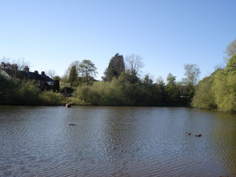 Viewing photos→2009→2009-04-26→03