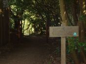 09.jpg - 2009:04:26 16:35:27