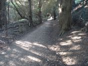 10.jpg - 2009:04:26 16:38:06