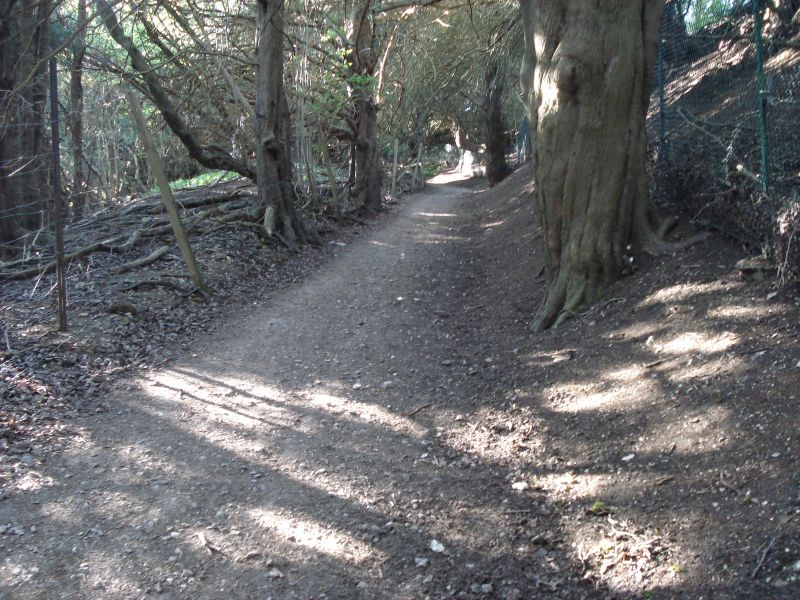 Viewing photos→2009→2009-04-26→10