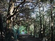 11.jpg - 2009:04:26 16:38:13