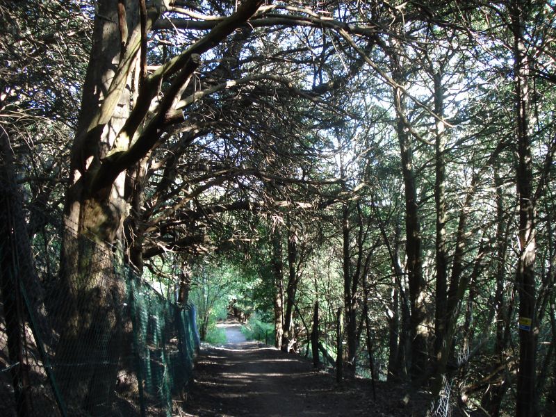 Viewing photos→2009→2009-04-26→11