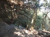 12.jpg - 2009:04:26 16:39:39