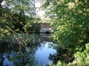 21.jpg - 2009:04:26 17:13:36