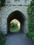 22.jpg - 2009:04:26 17:17:33