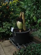 01.jpg - 2009:05:05 12:12:26