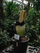 02.jpg - 2009:05:05 12:13:05