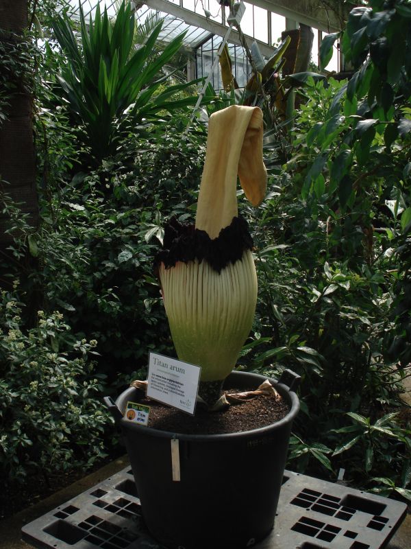 Viewing photos→2009→2009-05-05→02