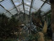 03.jpg - 2009:05:05 12:15:44