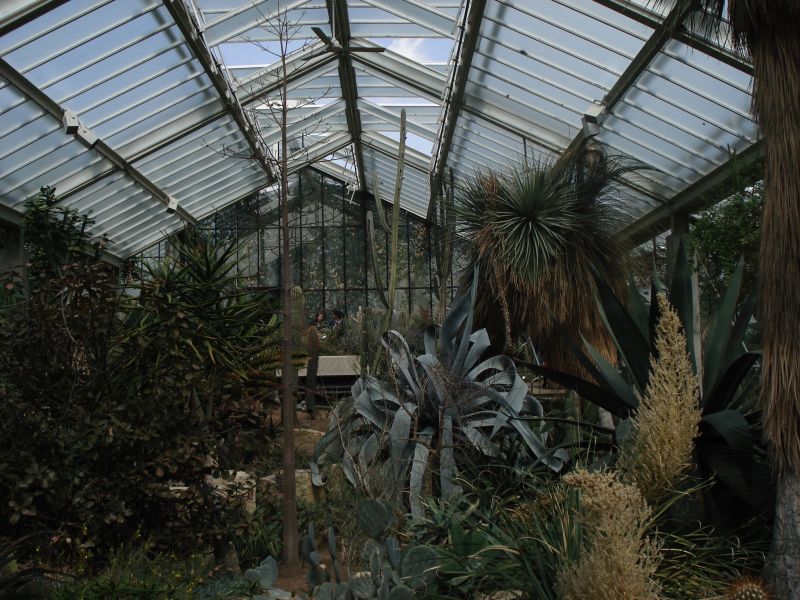 Viewing photos→2009→2009-05-05→03