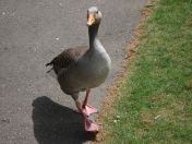 04.jpg - 2009:05:05 12:22:58