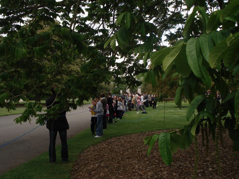 Viewing photos→2009→2009-05-05→10