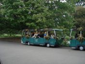 13.jpg - 2009:05:05 13:57:19