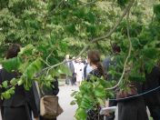 14.jpg - 2009:05:05 14:06:07