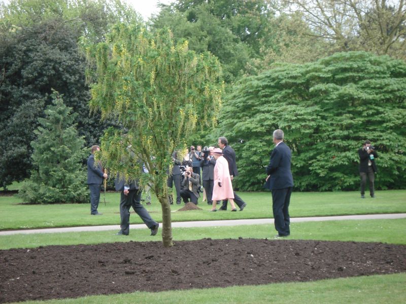 Viewing photos→2009→2009-05-05→19