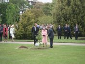 22.jpg - 2009:05:05 14:09:46