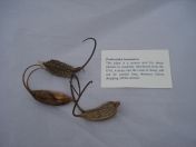 40.jpg - 2009:05:05 14:34:46