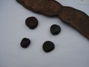 41.jpg - 2009:05:05 14:34:52