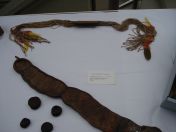 42.jpg - 2009:05:05 14:34:56