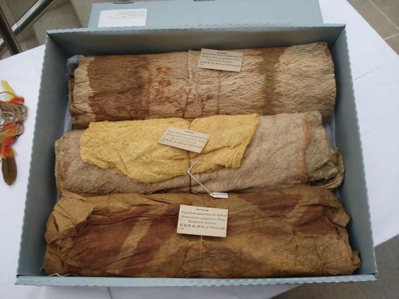 Viewing photos→2009→2009-05-05→43