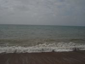 04.jpg - 2009:05:09 09:45:30