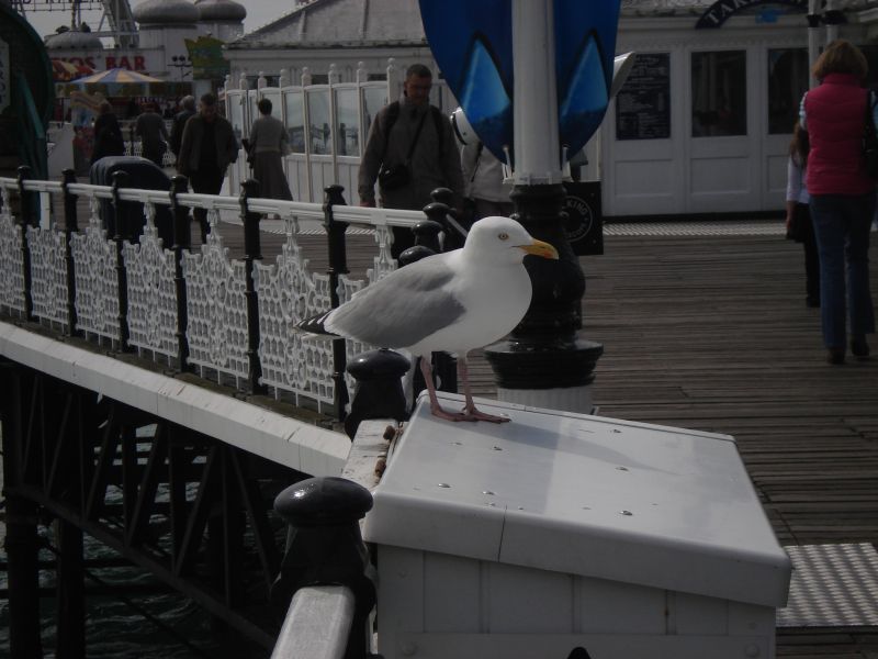 Viewing photos→2009→2009-05-09→11