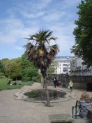 34.jpg - 2009:05:09 12:34:13