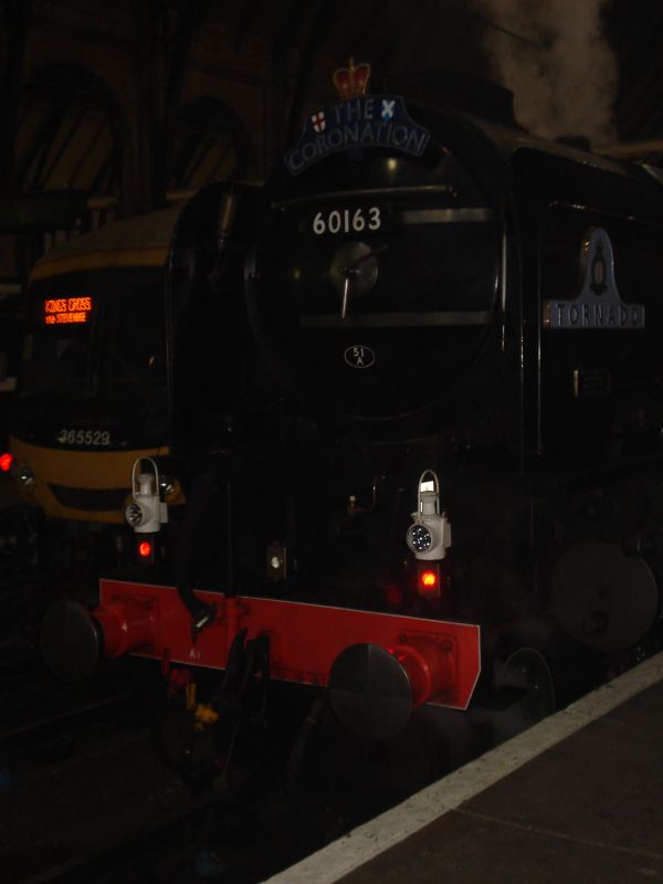 Viewing photos→2009→2009-05-18→3