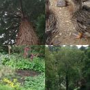 2009-05-19<br/>
<b>Wakehurst Place</b>
