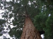 001.jpg - 2009:05:19 12:22:29