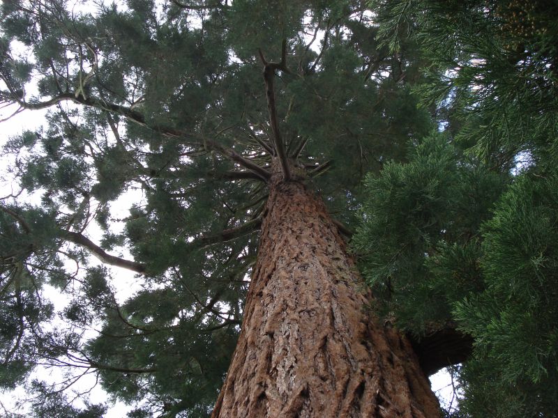 Viewing photos→2009→2009-05-19→001