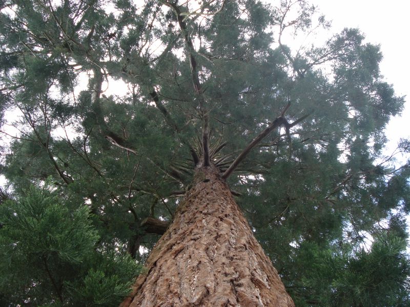 Viewing photos→2009→2009-05-19→002