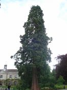 003.jpg - 2009:05:19 12:23:18