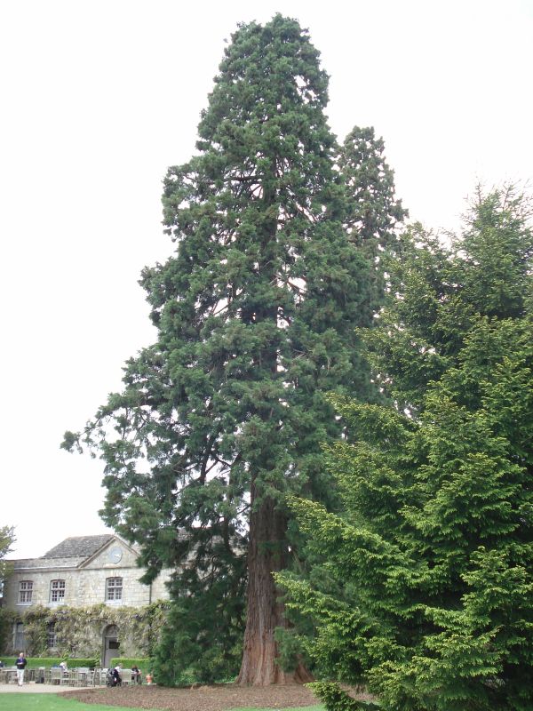 Viewing photos→2009→2009-05-19→007