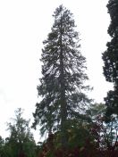 008.jpg - 2009:05:19 12:25:55