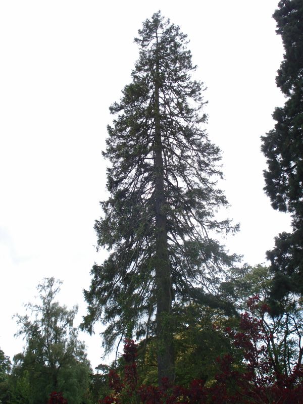 Viewing photos→2009→2009-05-19→008