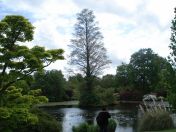 009.jpg - 2009:05:19 12:26:06