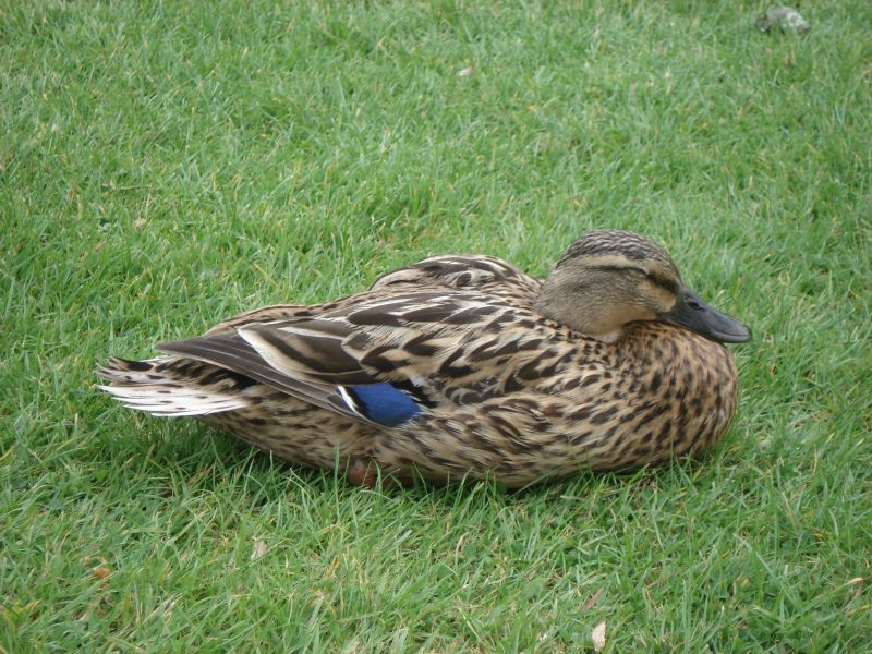 Viewing photos→2009→2009-05-19→011