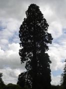 016.jpg - 2009:05:19 12:31:00