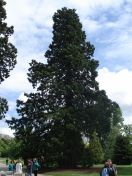 017.jpg - 2009:05:19 12:33:03