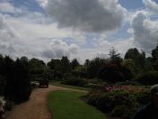 018.jpg - 2009:05:19 12:43:29