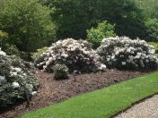 020.jpg - 2009:05:19 12:46:19