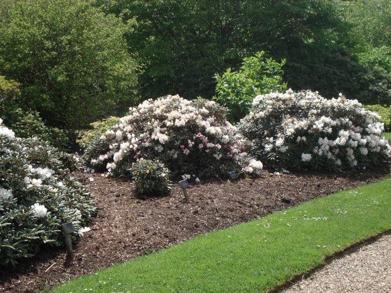 Viewing photos→2009→2009-05-19→020