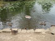 022.jpg - 2009:05:19 12:49:39