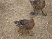 023.jpg - 2009:05:19 12:49:48