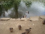 024.jpg - 2009:05:19 12:50:02