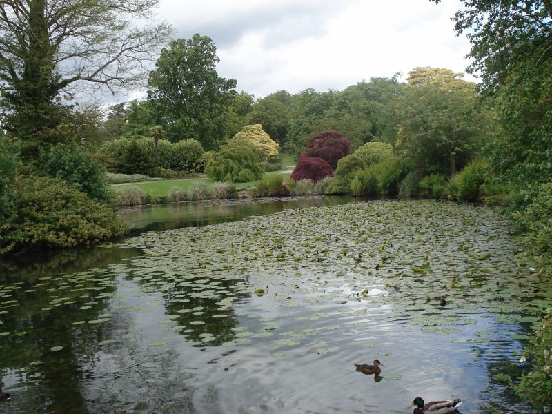 Viewing photos→2009→2009-05-19→026